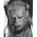 Curse of the Werewolf Oliver Reed Photo